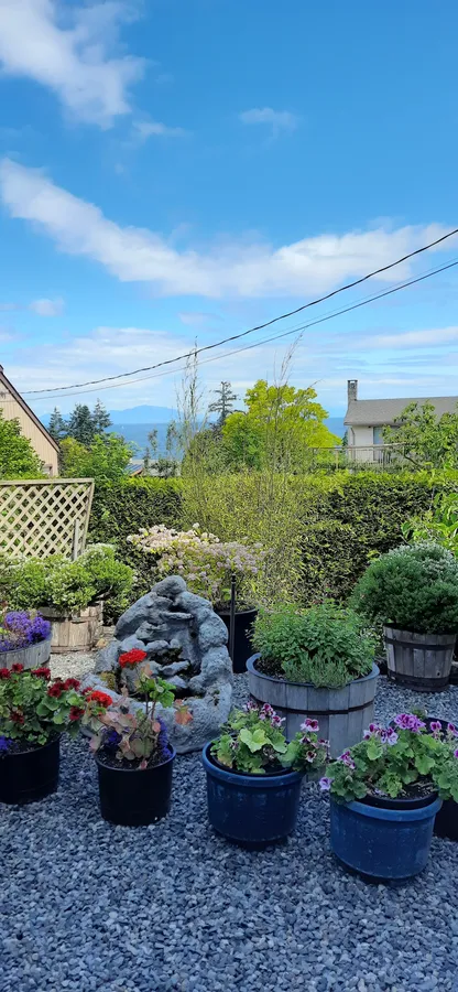 Island View Bed & Breakfast