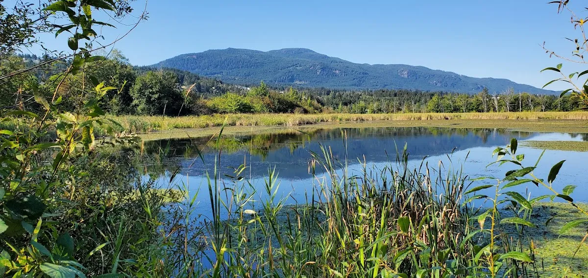 Buttertubs Marsh Park