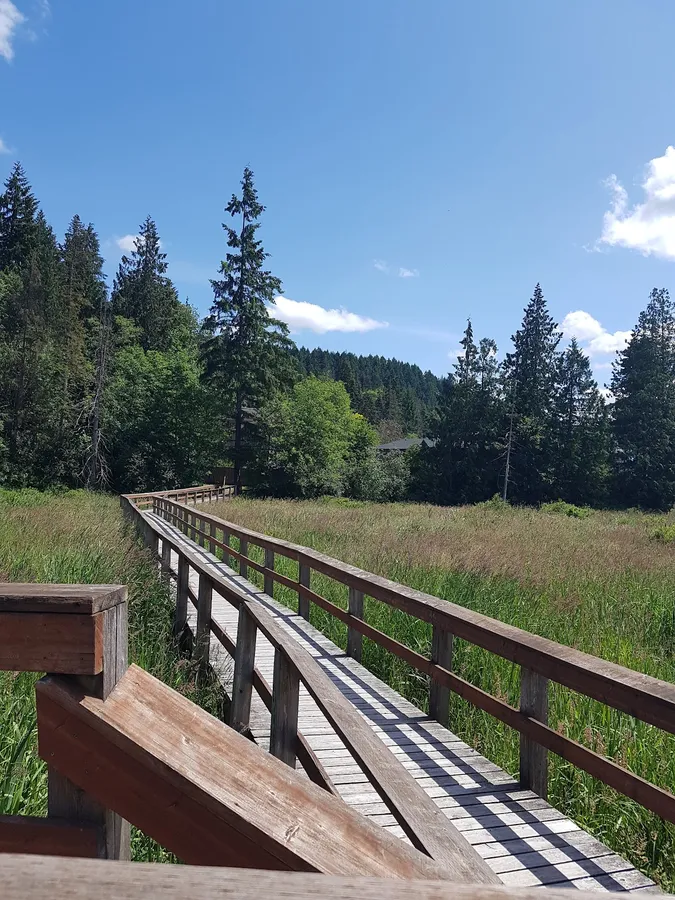 Richards Marsh Park