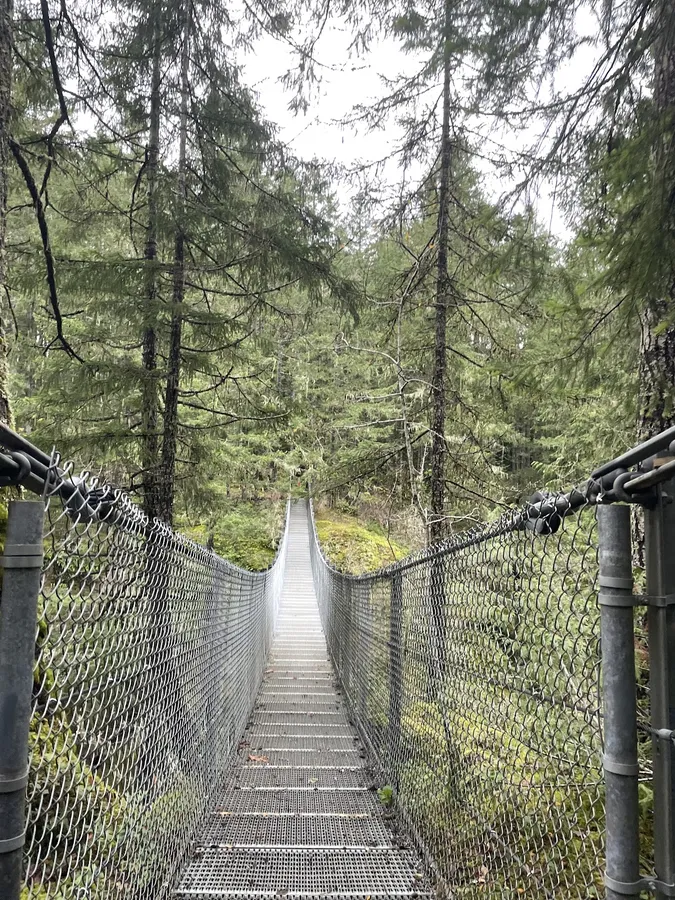 Haslam Creek Suspension Bridge