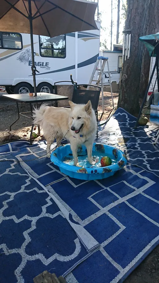 Triple-E Tent & Trailer Park