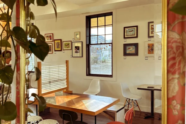 White Rabbit Coffee Co