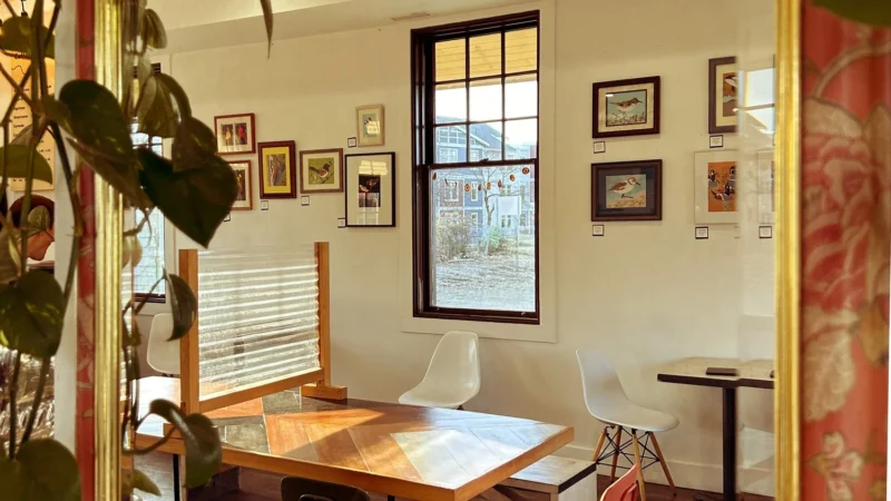 White Rabbit Coffee Co