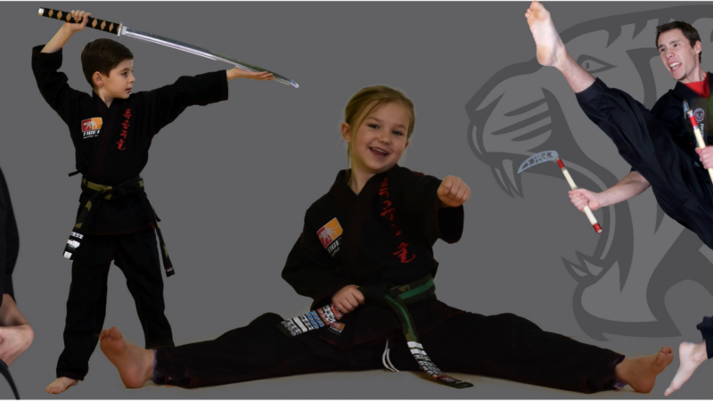 Tiger Martial Arts