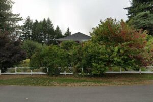 Calico Cat Tea House