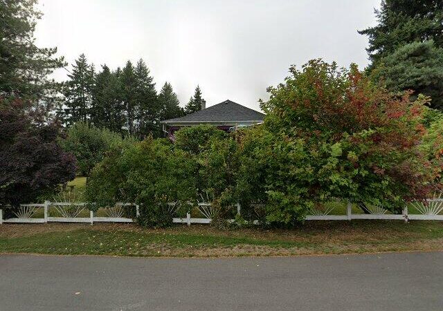 Calico Cat Tea House