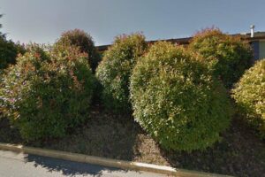 164 – Hairdressing and Esthetics