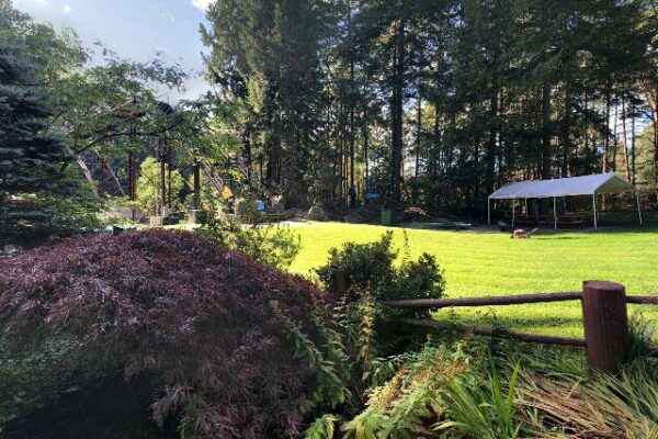 WildPlay Element Park