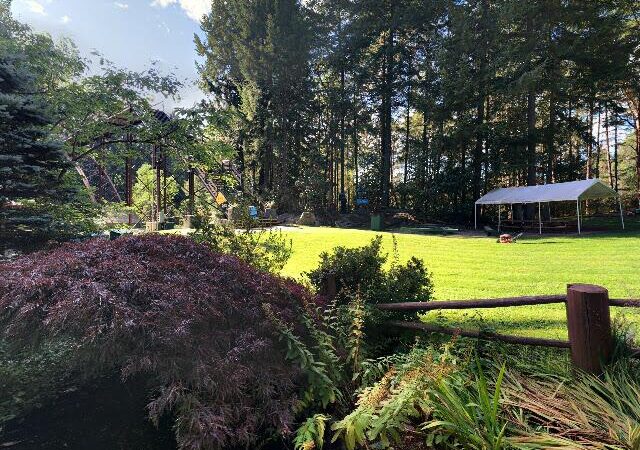 WildPlay Element Park