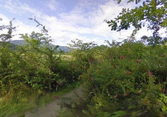 Sensitive Habitat – Western Painted Turtle