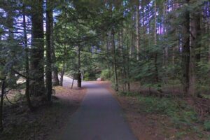 Spillway Re-planting