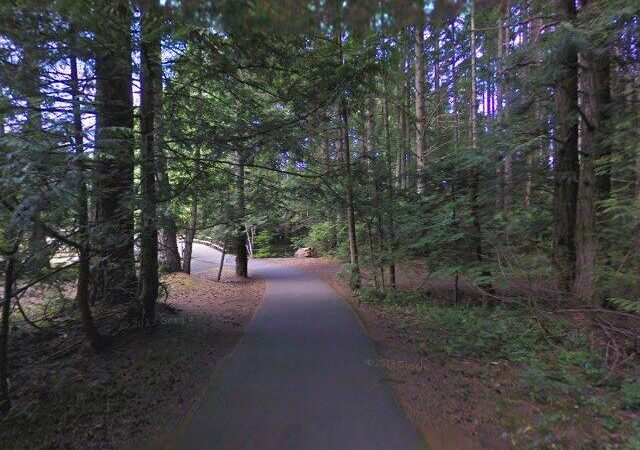 Spillway Re-planting