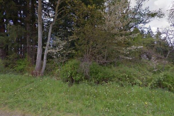 Chase River Estuary Park