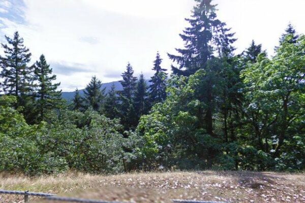 Northfield Rotary Lookout Park