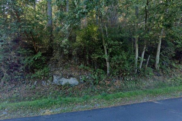 Laguna Park 3
