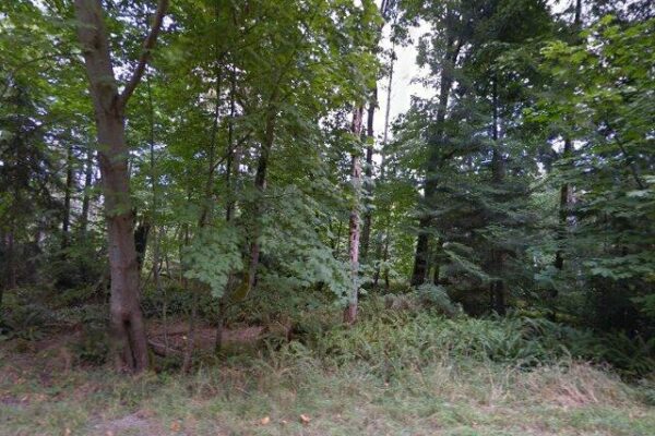 Pequod Crescent Community Park