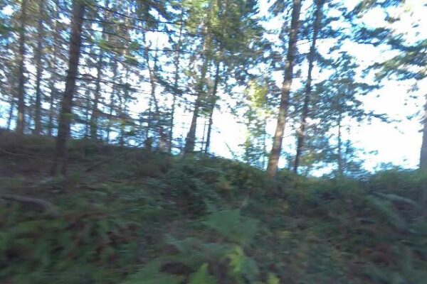 Joyce Lockwood Community Park