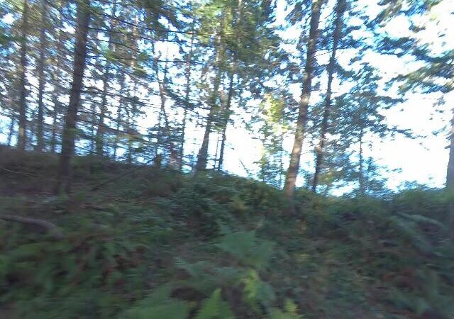 Joyce Lockwood Community Park