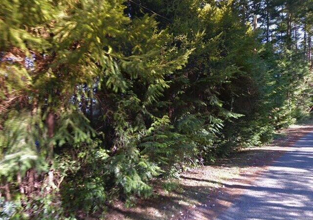 DeCourcy Drive Community Park