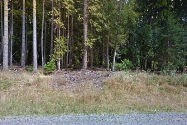 Paisley Place Community Park